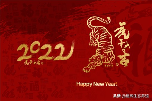 2022年放假安排出炉！具体怎么放？附国家节假日安排时间表最新