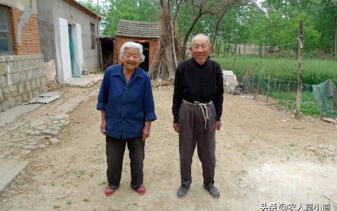 养老保险怎么领取及农村养老金60岁领取流程