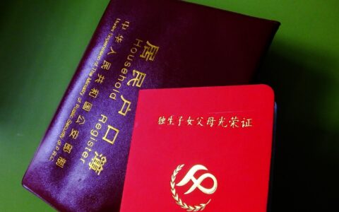 2022年，河南独生子女补贴金发放标准是多少？