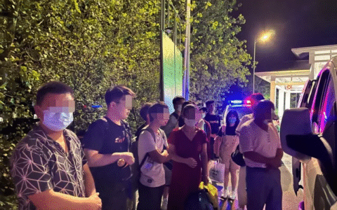 重庆交通怎么违章及重庆网上车管所官网查询系统