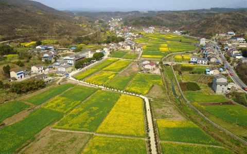 闲置土地处理办法及国家征收的土地闲置的处理