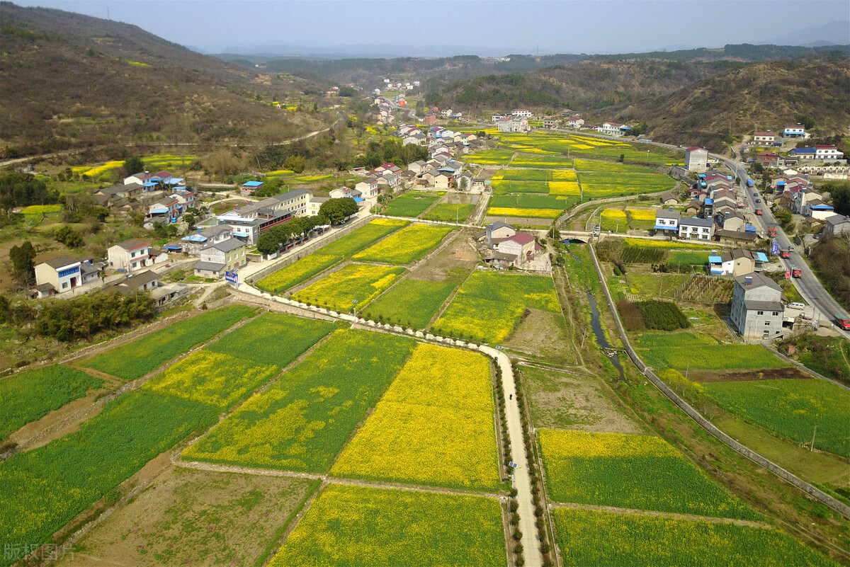 土地闲置满两年，如何避免收回土地？