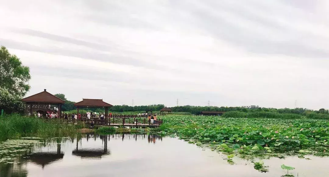 农转非需要什么样的流程?集体建设用地如何审批?
