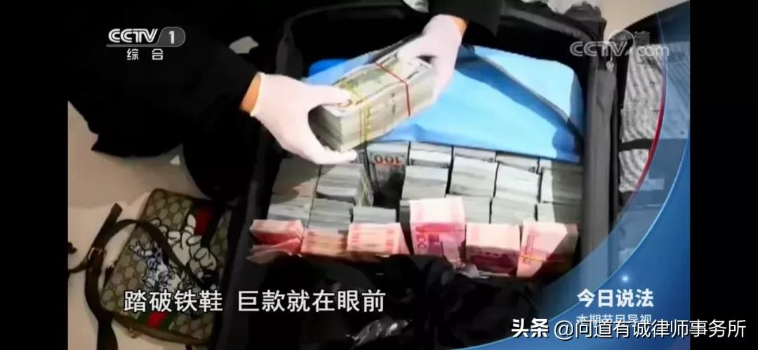 以案释法｜《今日说法》“追捕‘隐形人’”案涉及的罪名分析