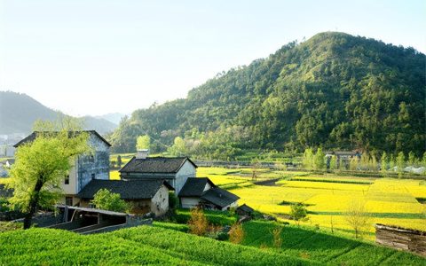 土地法规定宅基地面积及新土地法对农村宅基地的规定