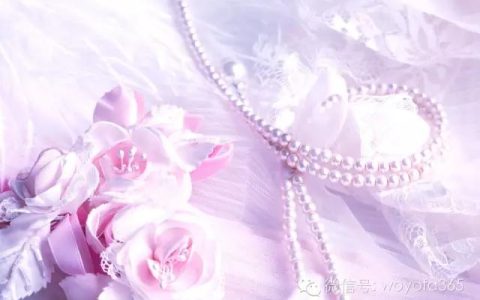 婚前保证书怎么写及最新婚内忠诚协议范本