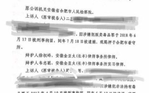 故意杀人罪辩护律师及故意伤害罪刑事辩护案例