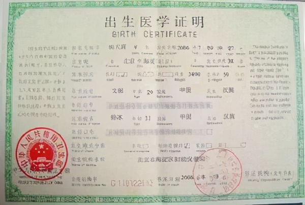 人生第一证:出生医学证明