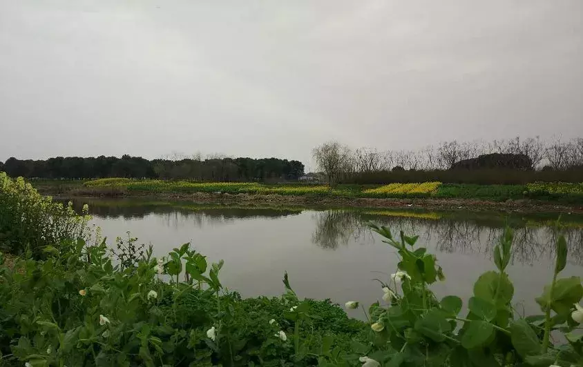 农转非需要什么样的流程?集体建设用地如何审批?
