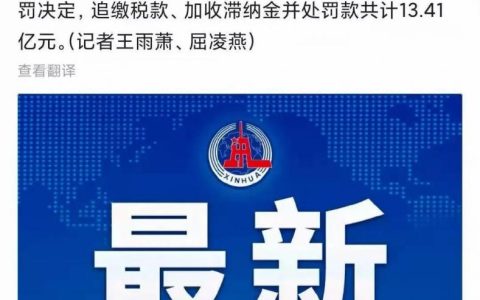 偷逃税是什么意思及偷税漏税举例子
