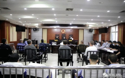 判了！禹州8人获刑！盗掘细节披露