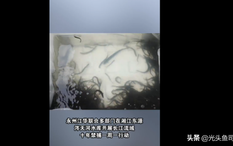 刑拘是什么意思啊及刑事拘留最轻的后果