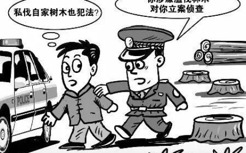 滥伐自己的林木，林木如何处理？