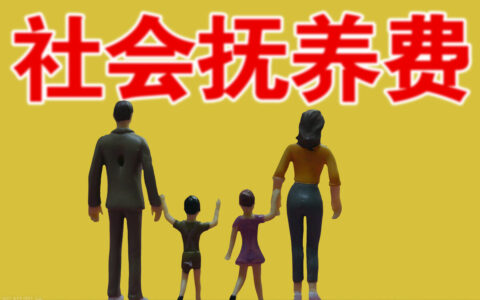 2021社会抚养费的征收标准