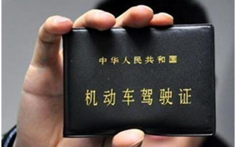 速度下载 | “交管12123“人在家中坐，业务网上办”！