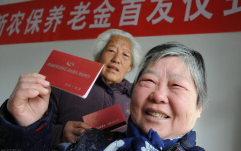 农村社保一次性补缴3万元，能领750？看看农村养老金计算方法