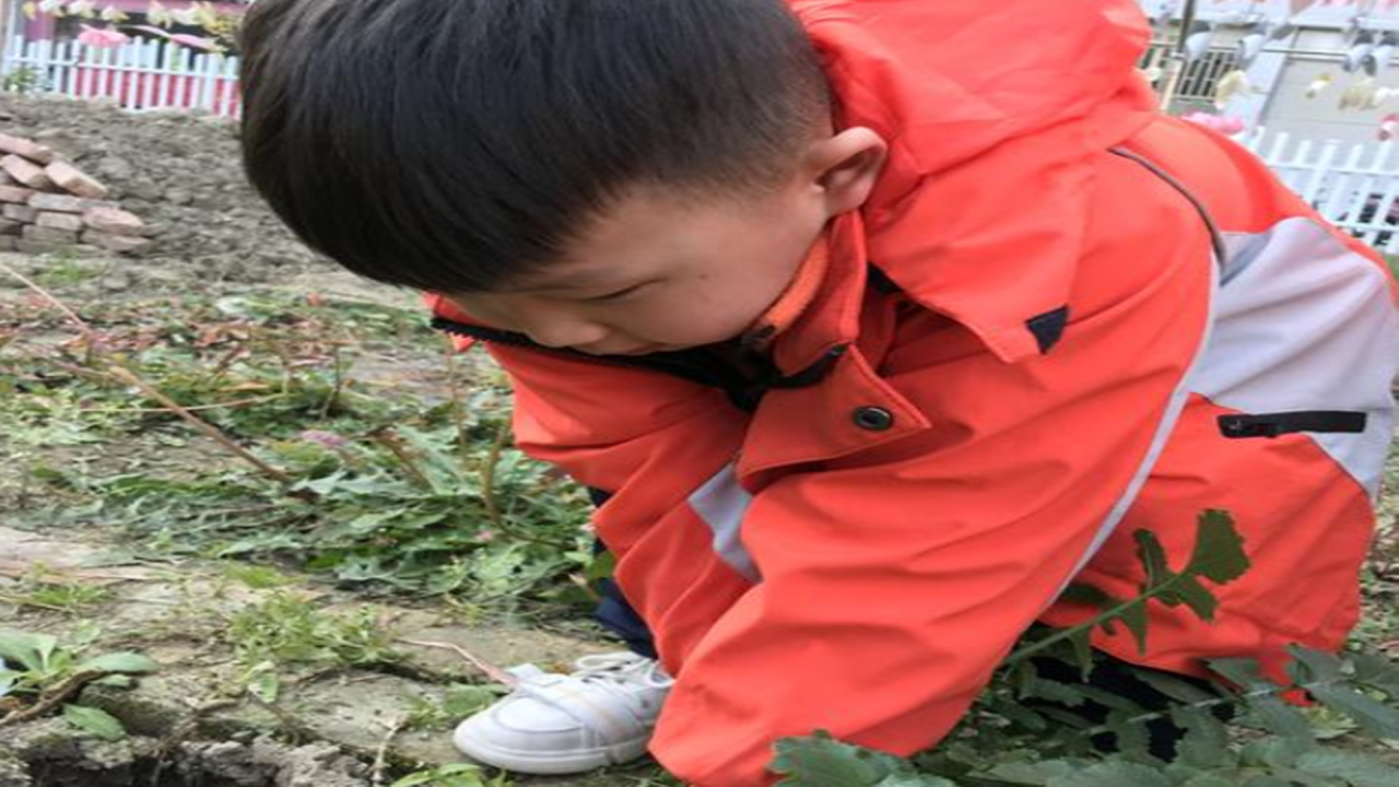 什么是单亲家庭？单亲家庭的孩子，会存在什么问题？