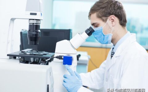 亲子鉴定要多少费用及做亲子鉴定的程序及费用