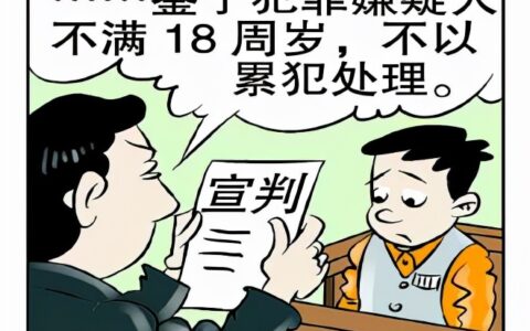 一般累犯和特别累犯以及毒品再犯的法律规定和理解