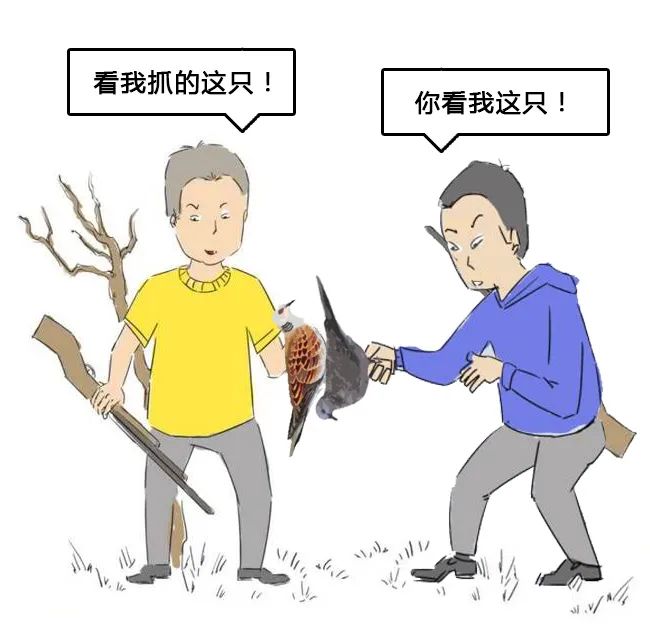 贵溪2男子非法狩猎野生鸟，判了！