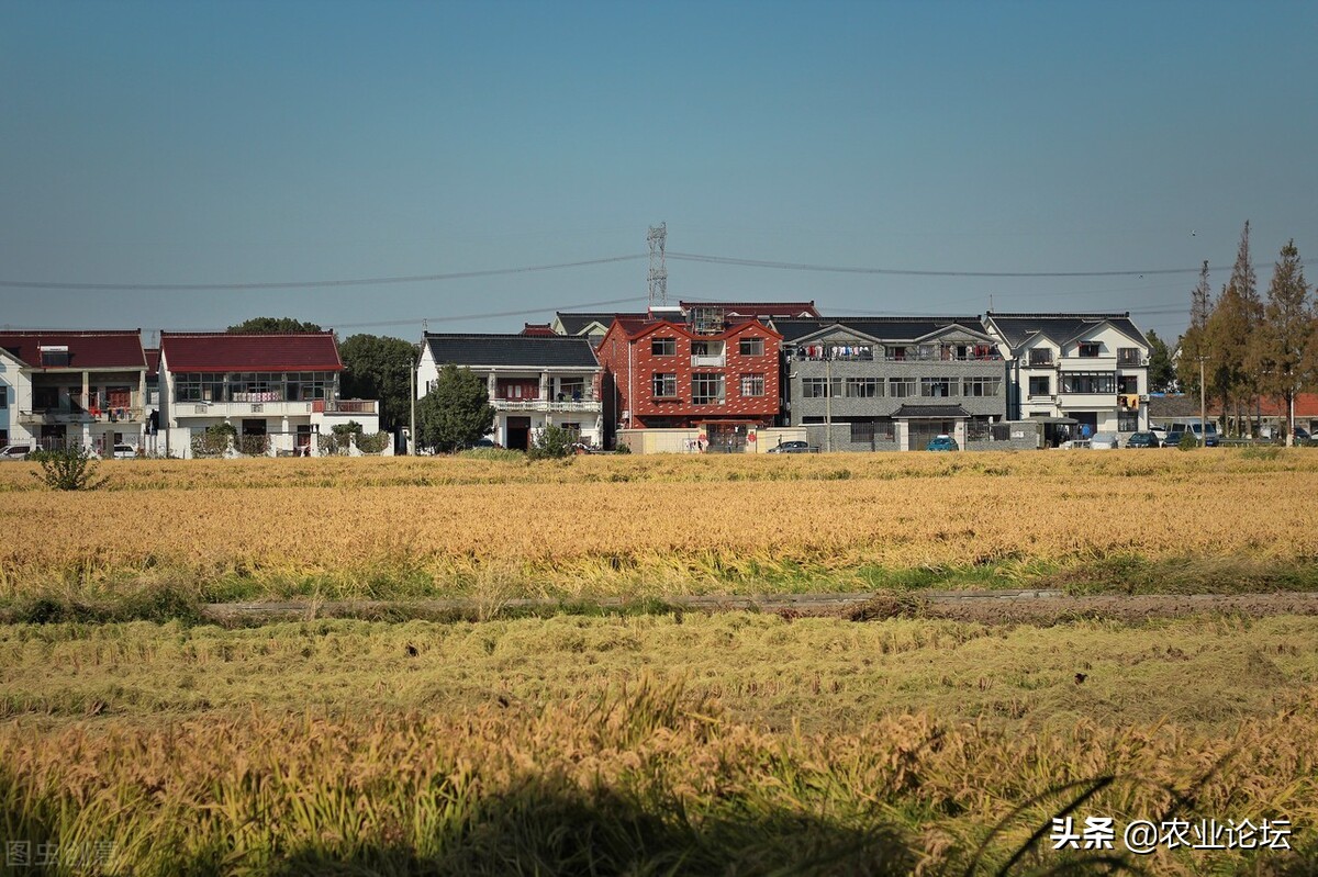 2022年上海奉贤区最新拆迁村名单！拆迁补偿标准是多少？