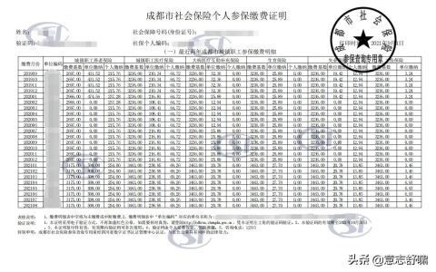 成都社保明细，如何查询？