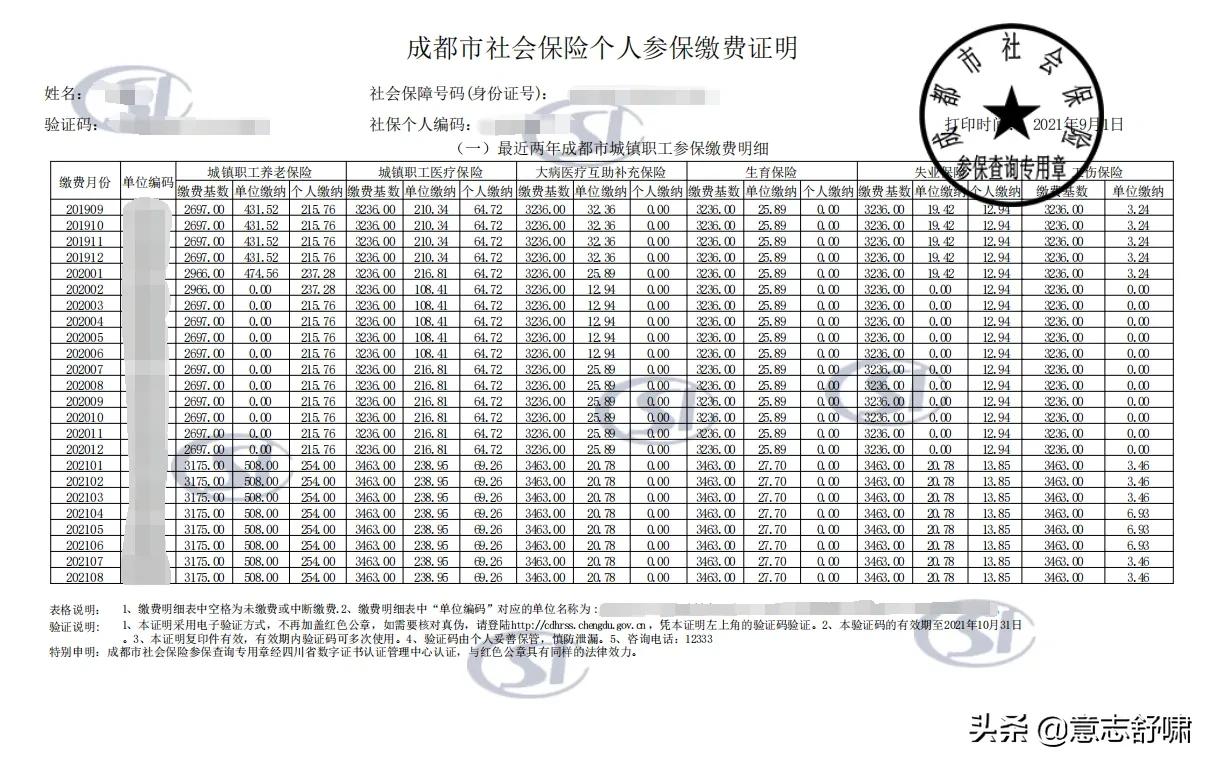 成都社保明细，如何查询？