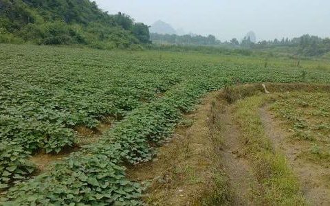 谈谈2020《土地管理法》拆迁补偿标准新变化
