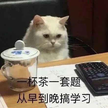 人社政策通|关于“劳务派遣”,这些小知识你知道吗?