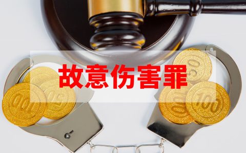 因纠纷矛盾故意伤害他人致人轻伤，会受到怎样的处罚？
