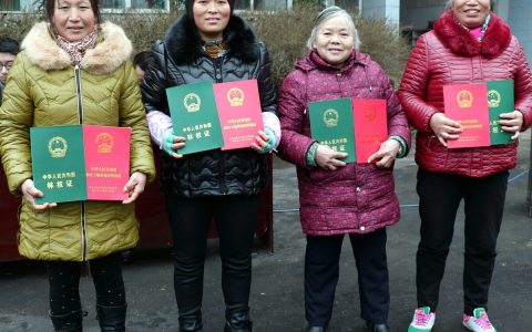 农民的林权证找不到、遗失、损毁了该怎么办？