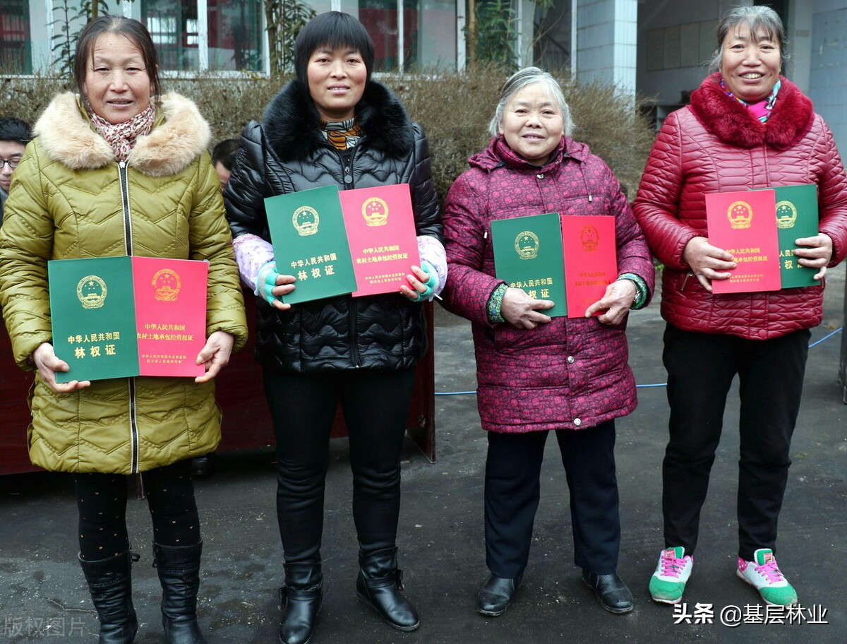 农民的林权证找不到、遗失、损毁了该怎么办？