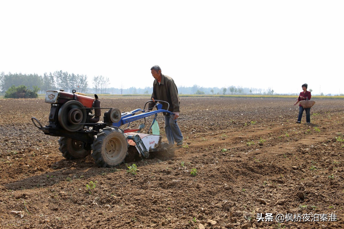 农村土地承包合同，或许你能用着