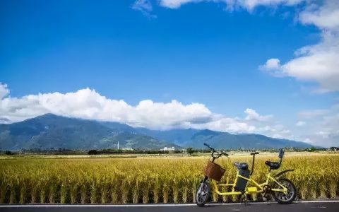「解读」农村征地补偿的标准及纠纷类型