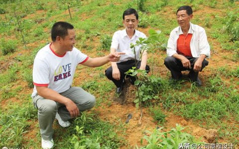 技术支持协议模板及技术支持合作协议合同范本