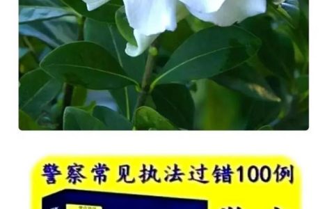 治安管理行为实施处罚的裁量指导意见（大全版）