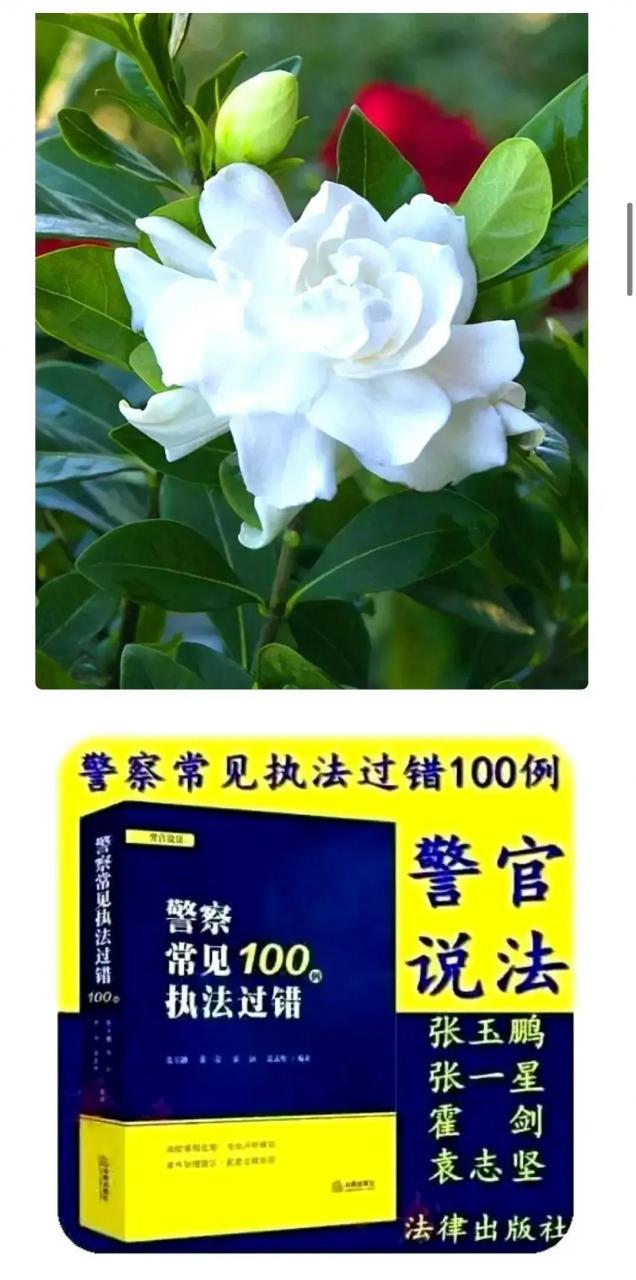 治安管理行为实施处罚的裁量指导意见（大全版）