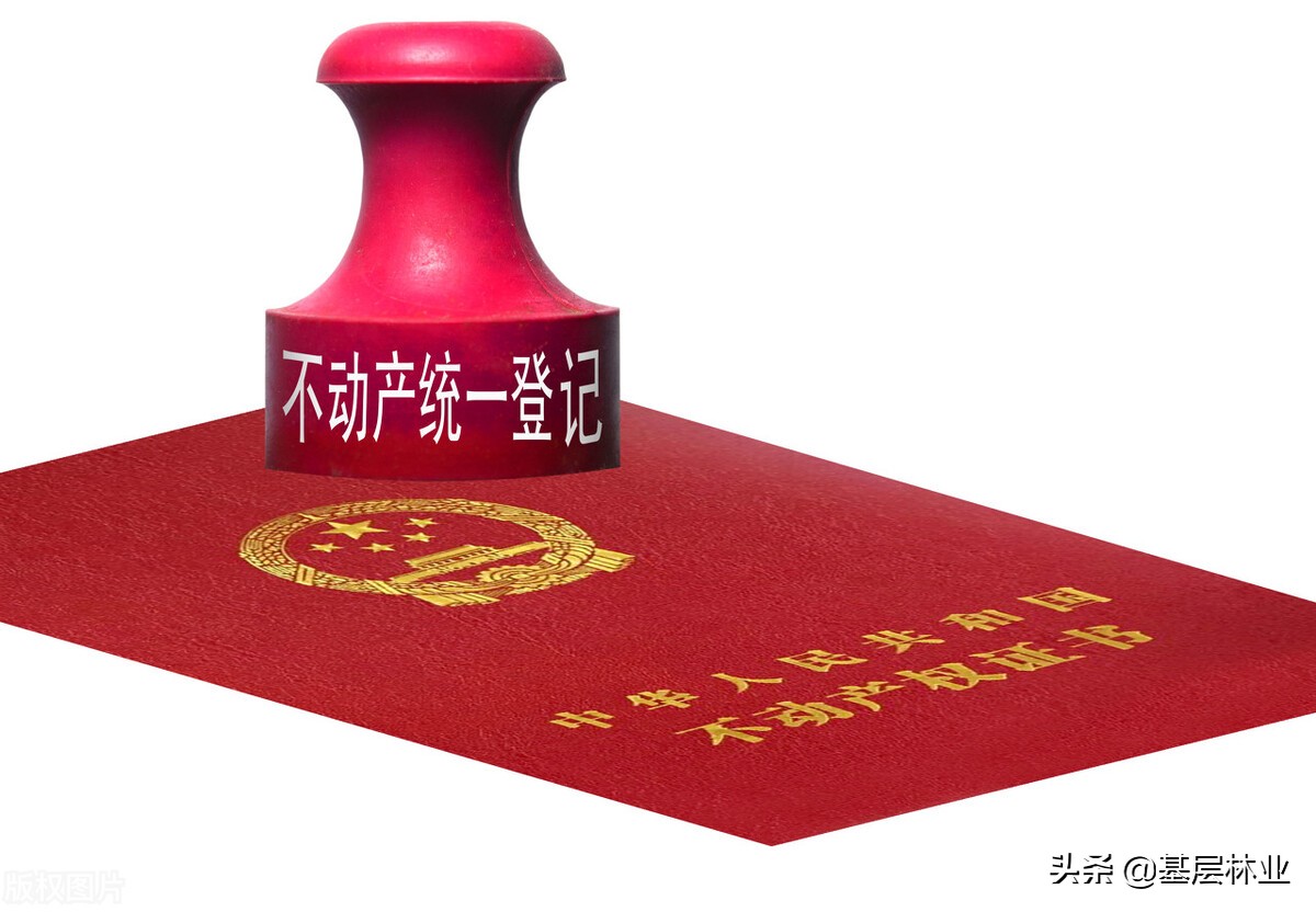 农民的林权证找不到、遗失、损毁了该怎么办？