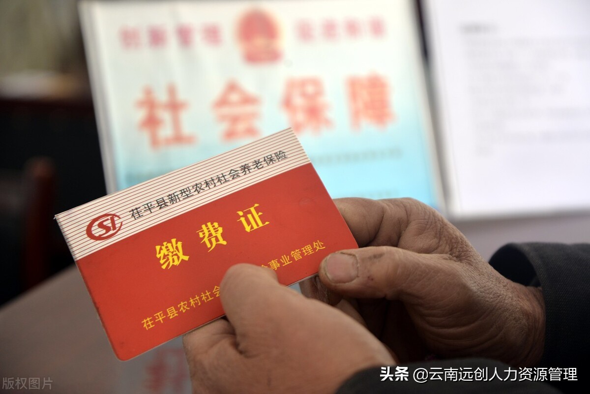 新型农村养老保险缴费，退休养老政策