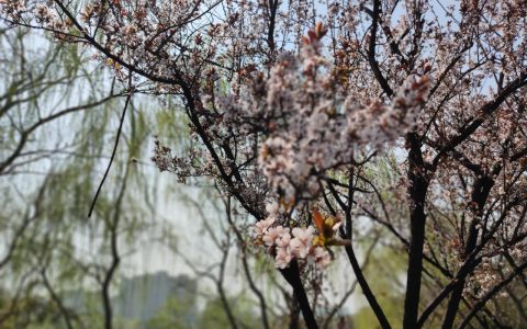 八种证据种类，六种证据取得方式‖如何对现场勘验证据有效质证