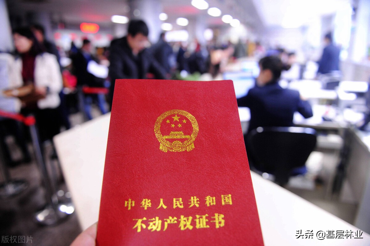 农民的林权证找不到、遗失、损毁了该怎么办？