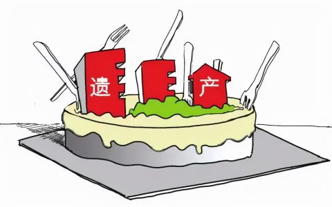 以案释法|老年人权益保护问题解析：我的遗产我决定