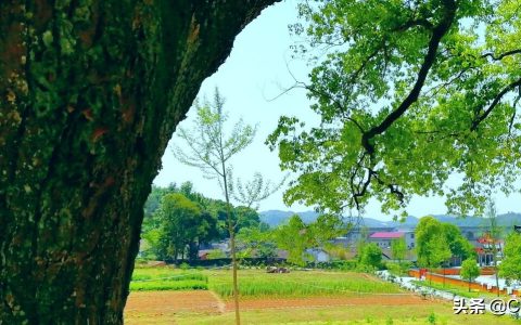 修改其他债务条件、组合方式的债务重组会计处理