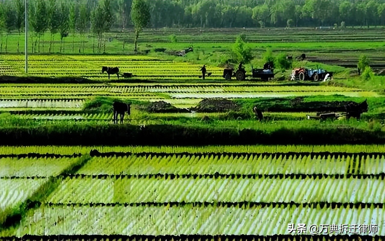 新土地管理法实施后，土地征收必须经过这些流程