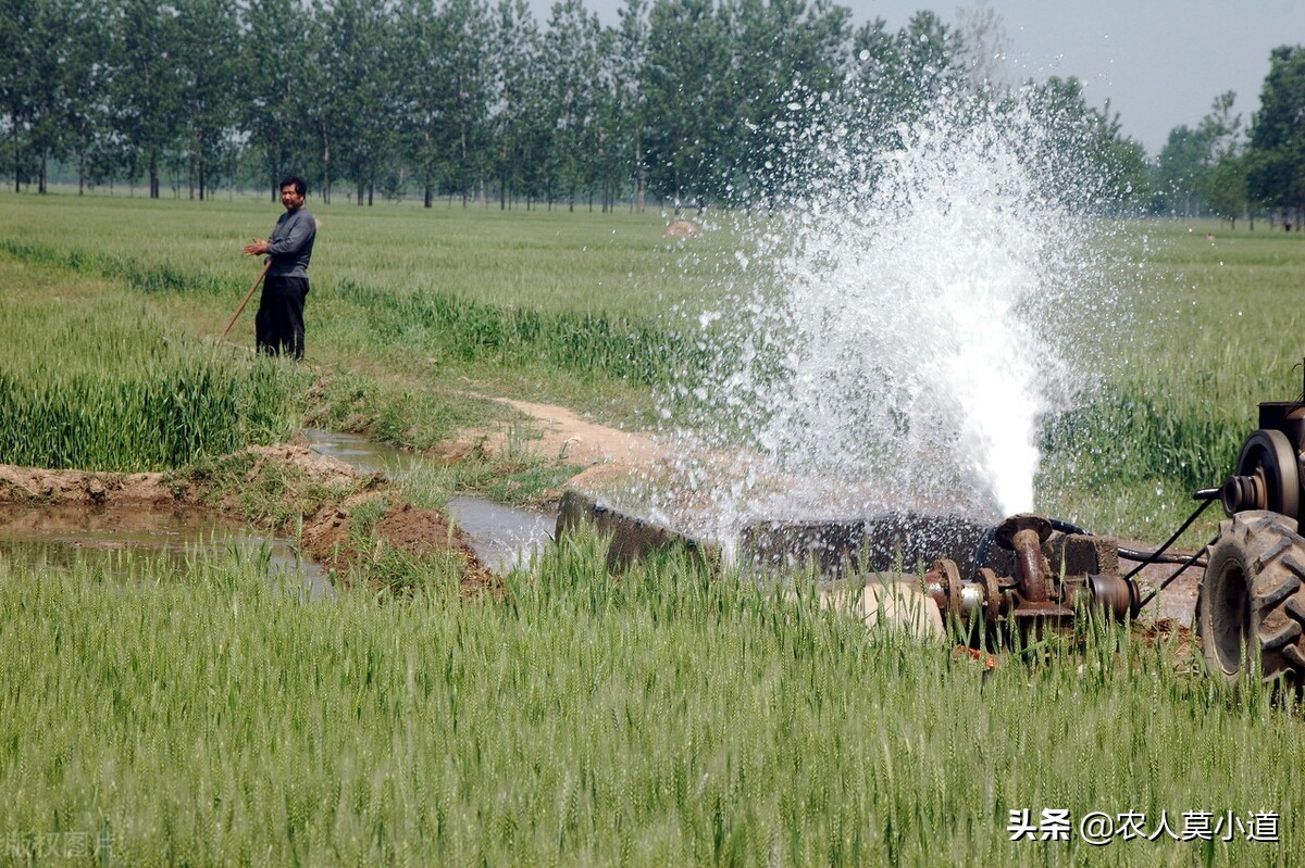 农业补贴都有哪些你知道吗?这3个补贴你都拿到钱了没?