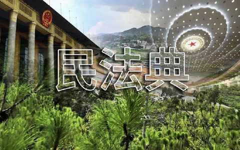 《民法典》关于合同保全的规定及影响