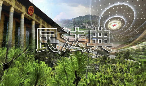 《民法典》关于合同保全的规定及影响