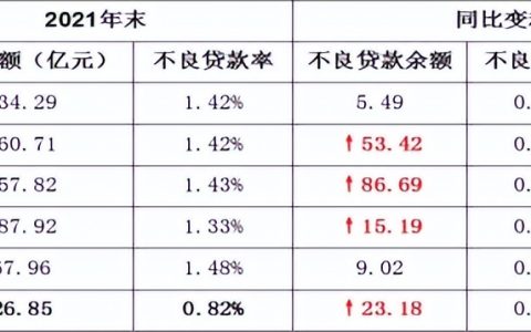 6家大型商业银行不良贷款情况及处置策略