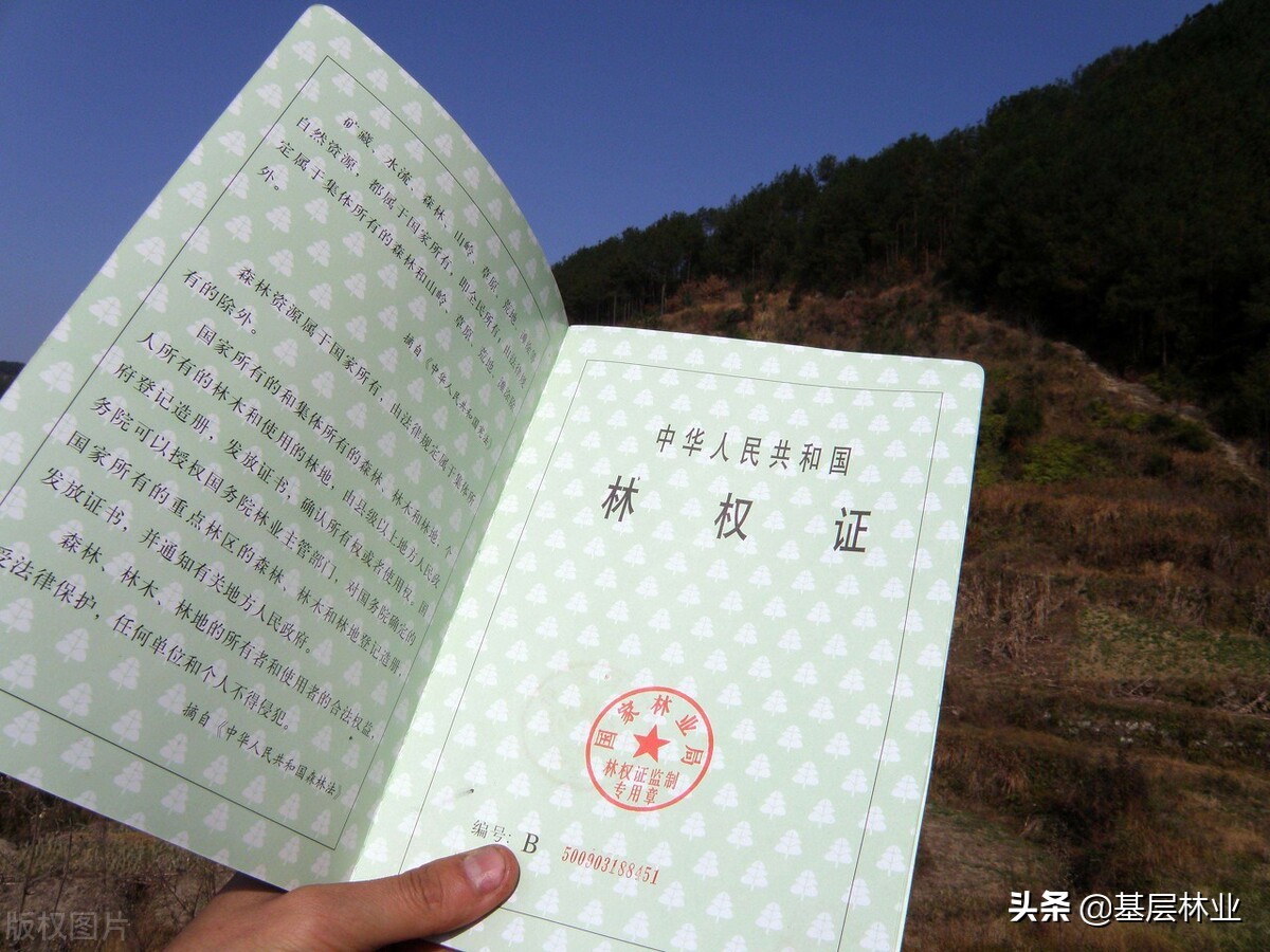 农民的林权证找不到、遗失、损毁了该怎么办？