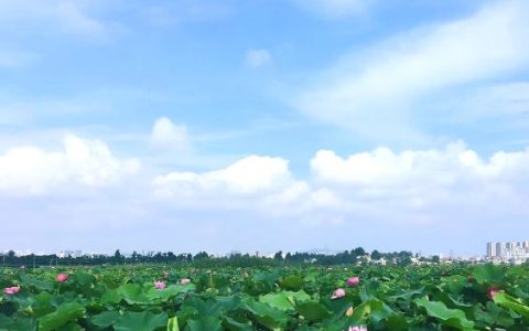 关于审理建设工程施工合同纠纷案件适用法律问题的解释（二）